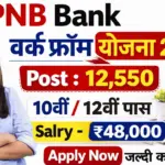पंजाब नेशनल बैंक में 10वीं-12वीं पास युवाओं को 12550 पदों पर घर बैठे काम का मौका, सैलरी और आवेदन प्रक्रिया का नया अपडेट