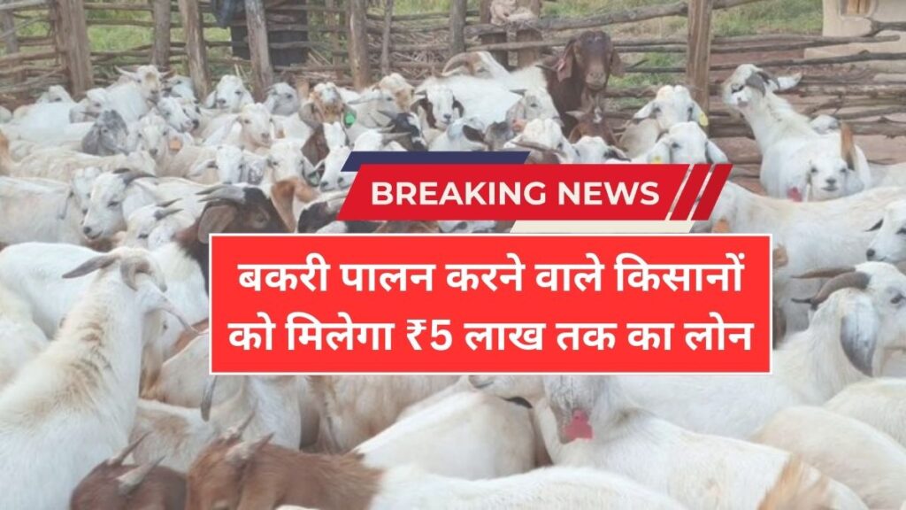 Bakri Palan Loan Apply