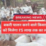 किसानों के लिए बड़ा मौका! बकरी पालन के लिए ₹5 लाख तक लोन, ऐसे करें आवेदन | Bakri Palan Loan Apply Online